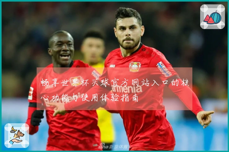 畅享世界杯买球官方网站入口的核心功能与使用体验指南