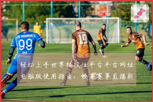 轻松上手世界杯投注平台平台网址电脑版使用指南，畅享赛事直播新体验