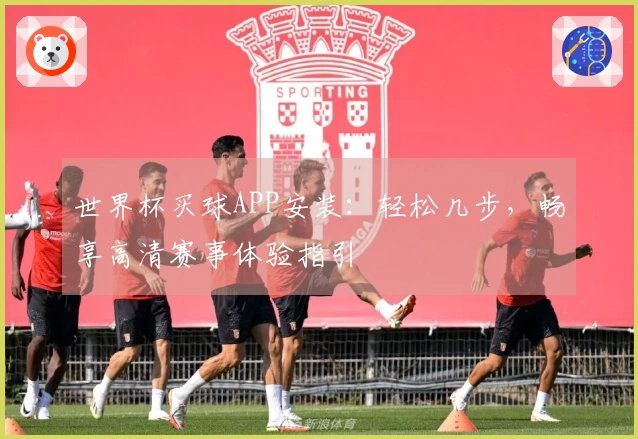 世界杯买球APP安装：轻松几步，畅享高清赛事体验指引