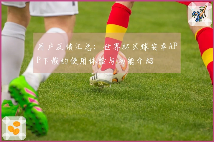 用户反馈汇总：世界杯买球安卓APP下载的使用体验与功能介绍