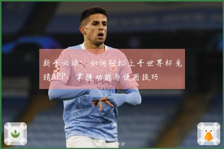 新手必读：如何轻松上手世界杯竞猜APP，掌握功能与使用技巧