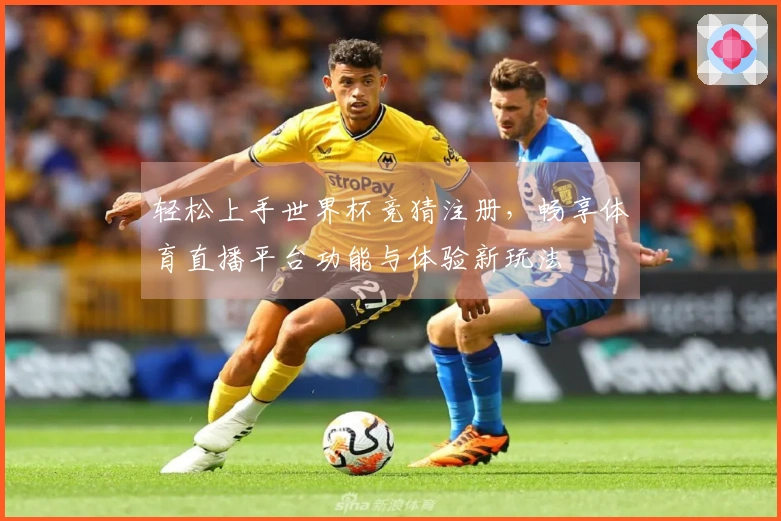 轻松上手世界杯竞猜注册，畅享体育直播平台功能与体验新玩法